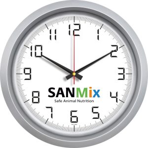 V30-551-G Ø 40 cm Plastik Duvar Saati